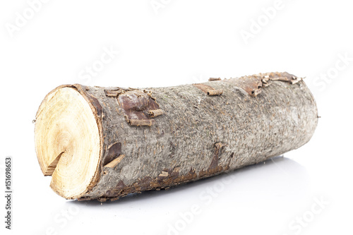 Pine logs on white background. Studio photo. Split wood. Oak tree for winter time heating. Cross section of tree trunk.Firewood ready for burning in winter season. photo