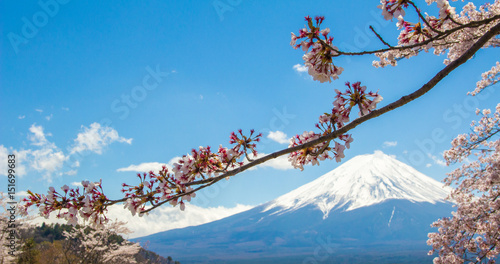 Mountain Fuji and Cherry Blossom in Japan Spring Season, Sakura season time