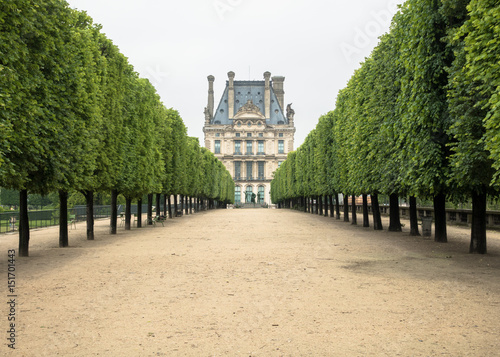 Photography Tuileries Garden