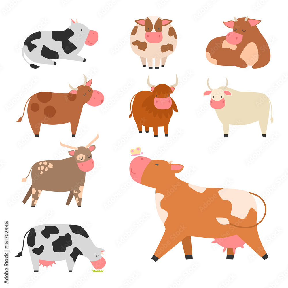 Bulls cows farm animal character vector illustration cattle mammal nature wild beef agriculture. Bulls cows farm animal character vector illustration cattle mammal nature wild beef agriculture.