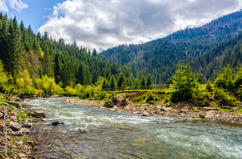 River among the forest in picturesque mountains in springtime