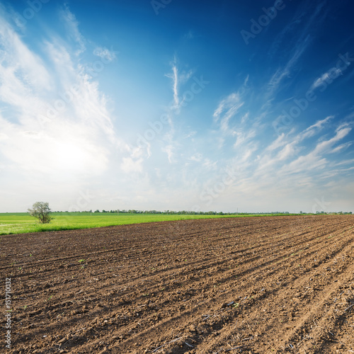 spring agricultural field and sunset over it in blue sky