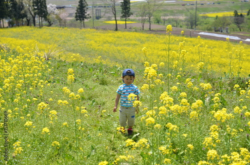 菜の花畑で遊ぶ子供