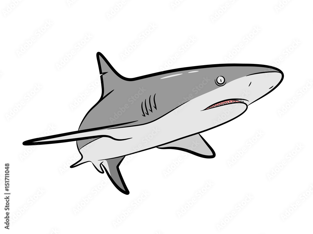 Obraz premium Shark Vector Cartoon, a hand drawn vector Cartoon Illustration of a grey shark