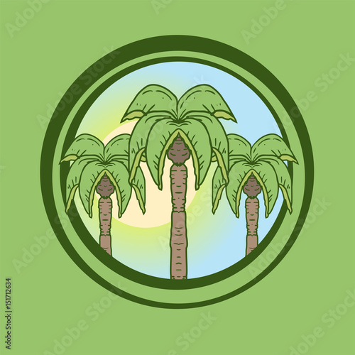 palm tree illustration