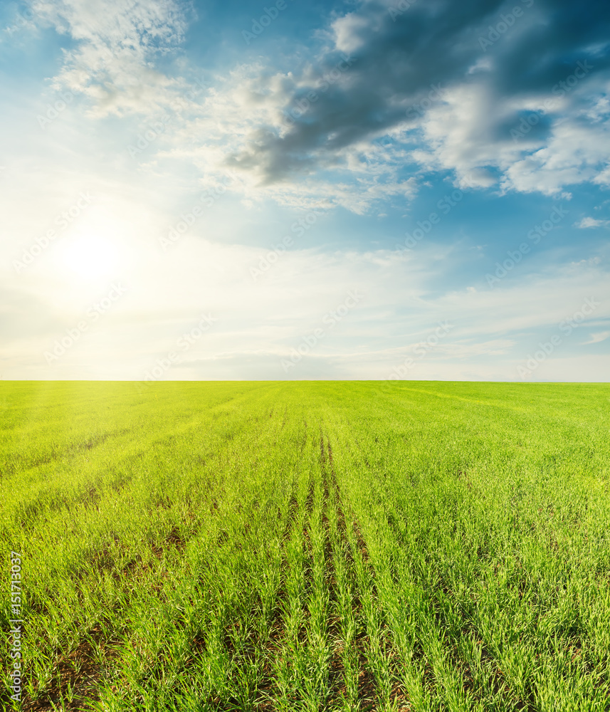 green agricultural field and sunset in clouds green agricultural field and sunset in clouds