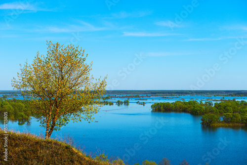 Summer landscape with beautiful river.
