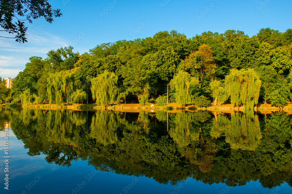 Fototapeta premium Beautiful lake at summer.