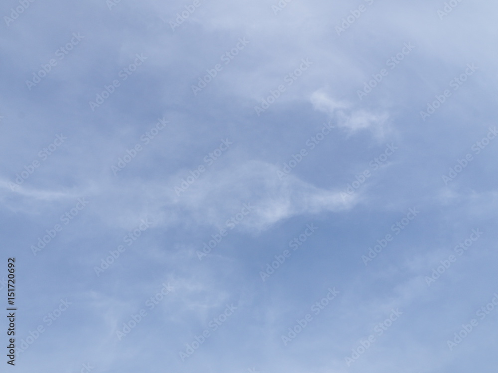 Fototapeta premium OLYMPUS DIGITAL CAMERA