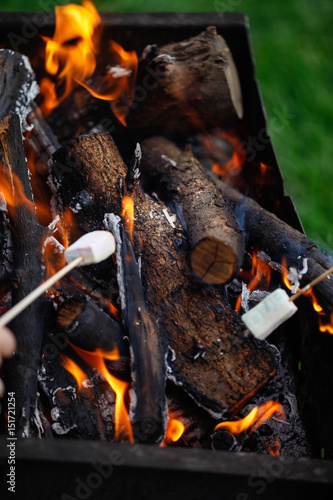 Grilling marshmallows on fire 