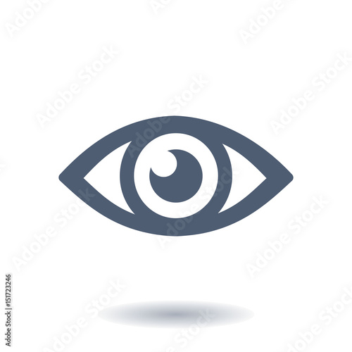 Eye icon. Monitoring and surveillance system. Flat design style.