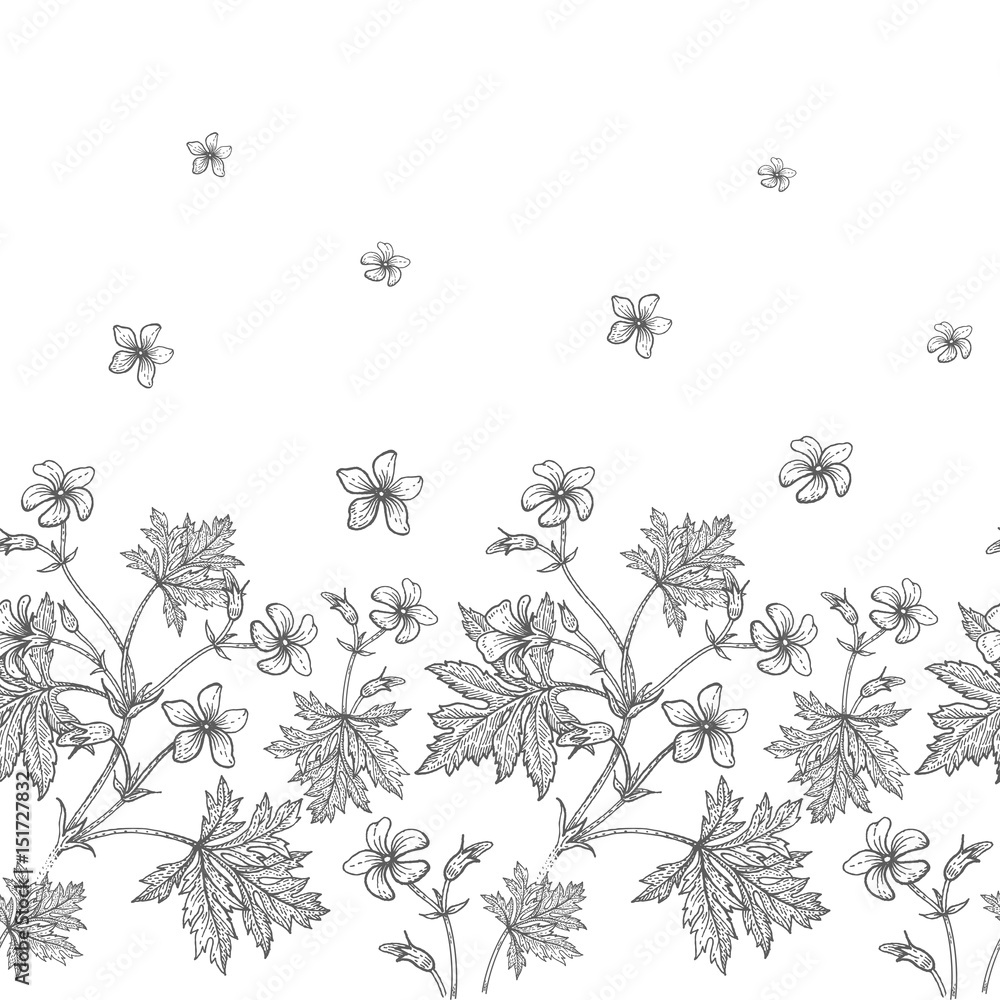 Fototapeta premium Geranium flowers. Seamless floral pattern.