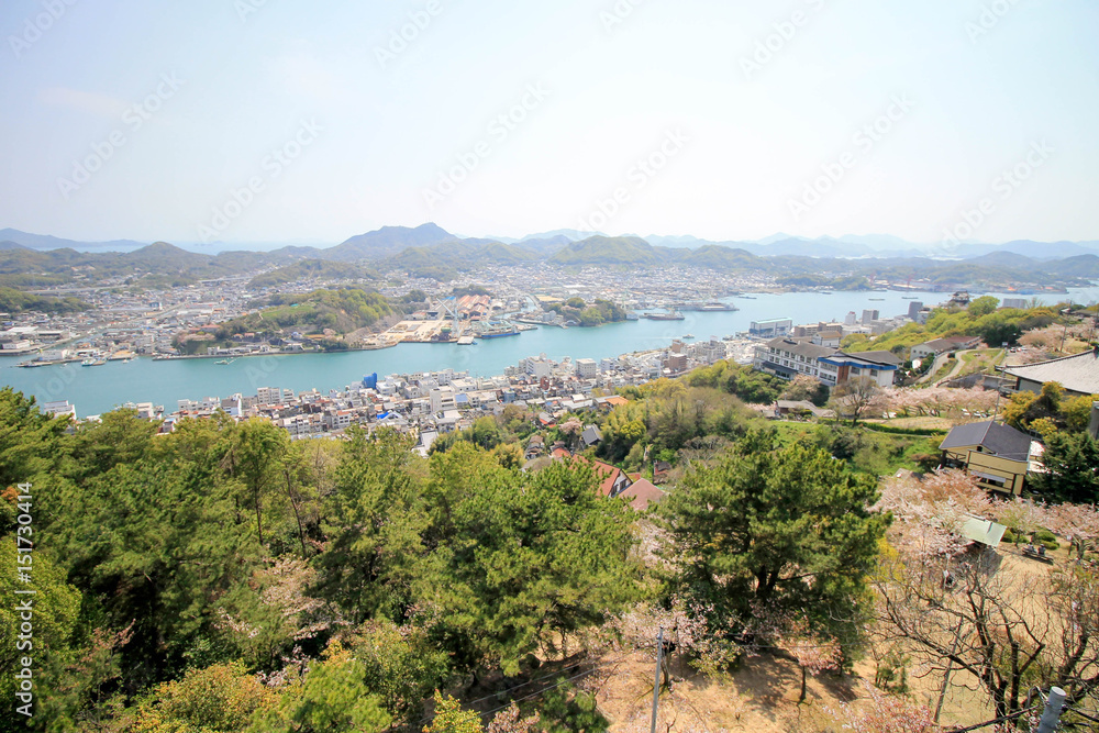 千光寺公園からの景色 千光寺公園からの景色
