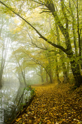 V parku.In the Park photo