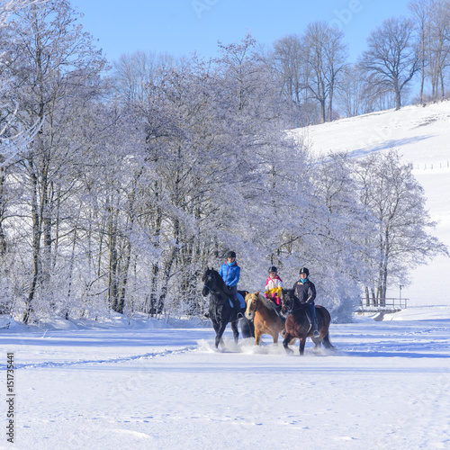 Reitergruppe beim entspannten Ausritt im Winter