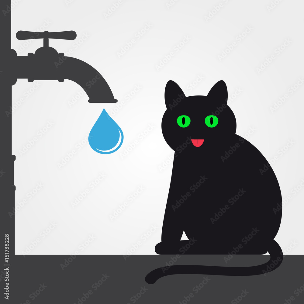 Cat and water tap