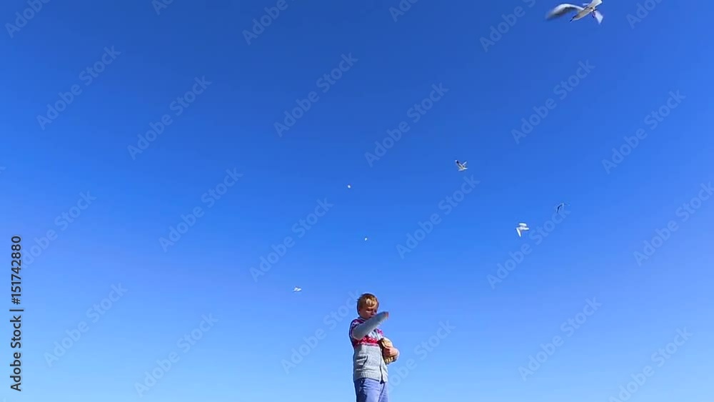 Little 8 year old child feeding beautiful seagulls flying cheerfully in bright blue sky. Birds catching food in air. Real time hd video footage. Little 8 year old child feeding beautiful seagulls flying cheerfully in bright blue sky. Birds catching food in air. Real time hd video footage.