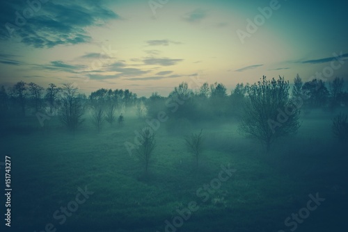 Foggy Evening Scenery