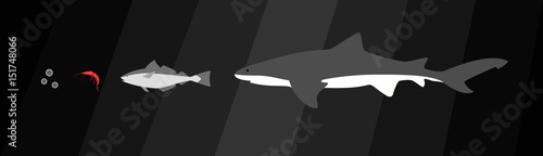 Nahrungskette im Meer mit Hai, Fisch, Krabbe und Plankton Flat Design Vektor Grafik