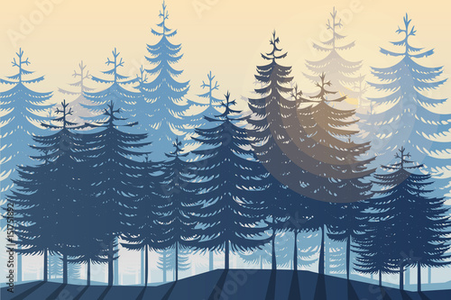 Morning in wild coniferous forest