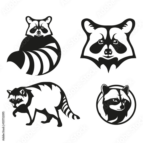Set of four black  logo silhouettes of  raccoon, illustration isolated on white background, vector image of animals, thief, poloskun