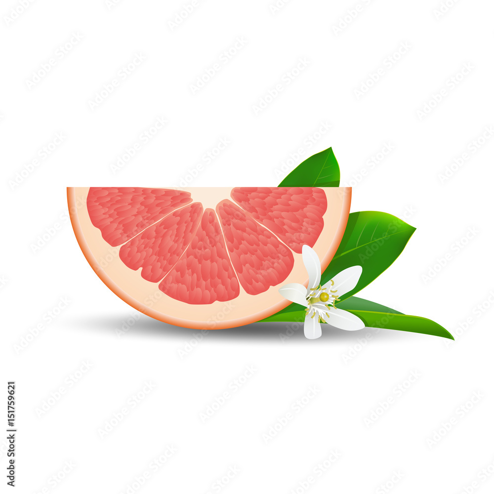 Isolated half of circle juicy pink color grapefruit with white flower, green leaf and shadow on white background. Realistic colored slice. Isolated half of circle juicy pink color grapefruit with white flower, green leaf and shadow on white background. Realistic colored slice.