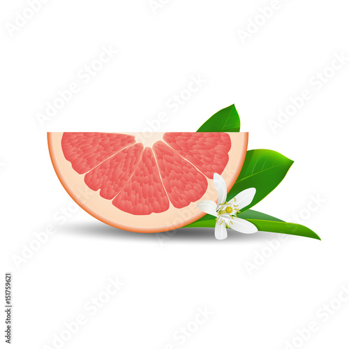 Isolated half of circle juicy pink color grapefruit with white flower, green leaf and shadow on white background. Realistic colored slice.