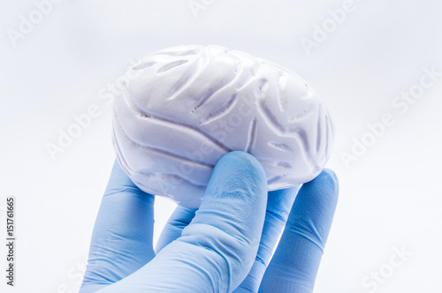 Doctor keeps in hand, dressed in blue glove, anatomical shape of human brain. Concept picture symbolizing diagnosis, treatment, care, prevention and protection of mental and cognitive brain diseases