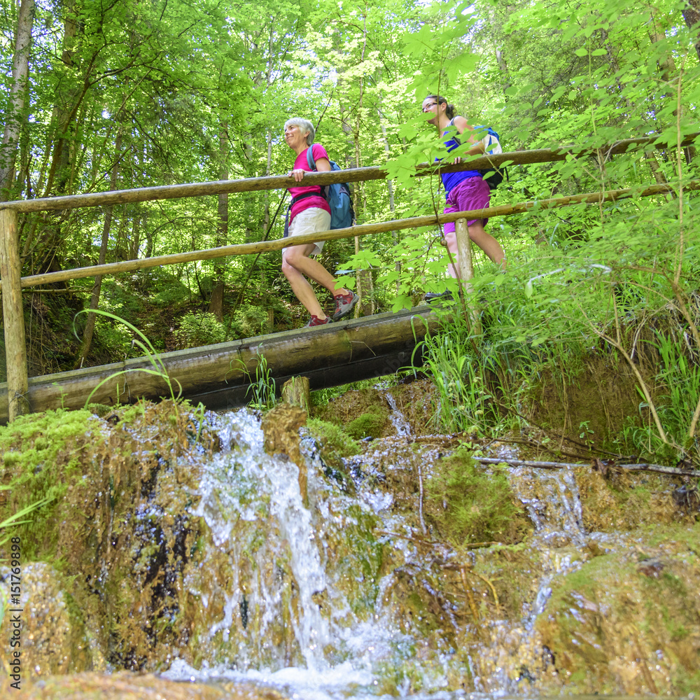 zwei gutgelaunte Frauen beim Wandern im Wald zwei gutgelaunte Frauen beim Wandern im Wald