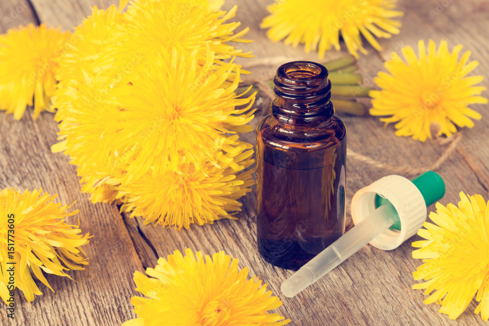 Dandelion flowers and bottle with dropper Dandelion flowers and bottle with dropper