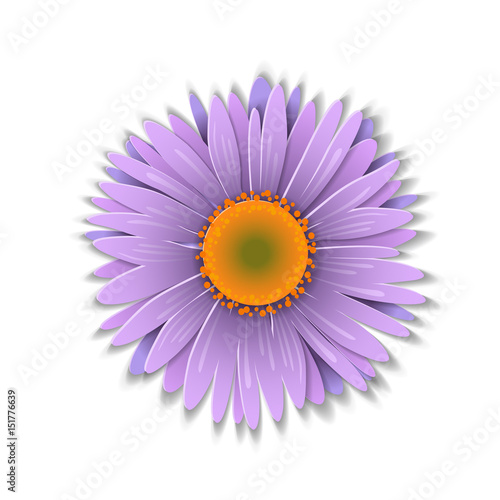 Paper art aster.