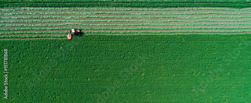 Фотография Tractor mowing lucerne
