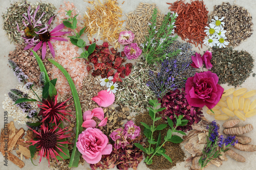 Herbal Medicine Selection With Flowers And Herbs To Heal Skin Disorders