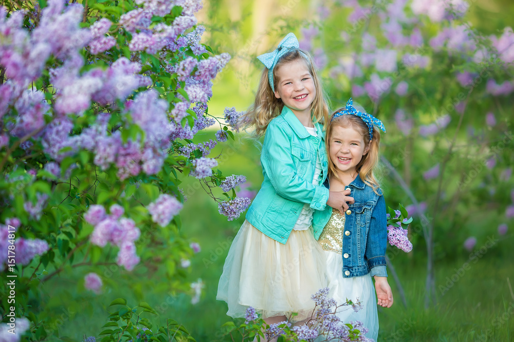 two cute smiling girls sisters lovely together on a lilac field bush all wearing stylish dresses and jeans coats. two cute smiling girls sisters lovely together on a lilac field bush all wearing stylish dresses and jeans coats.