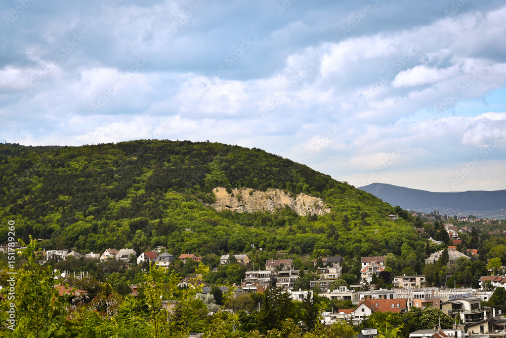Obraz premium Beautiful panoramic view of Budapest in spring