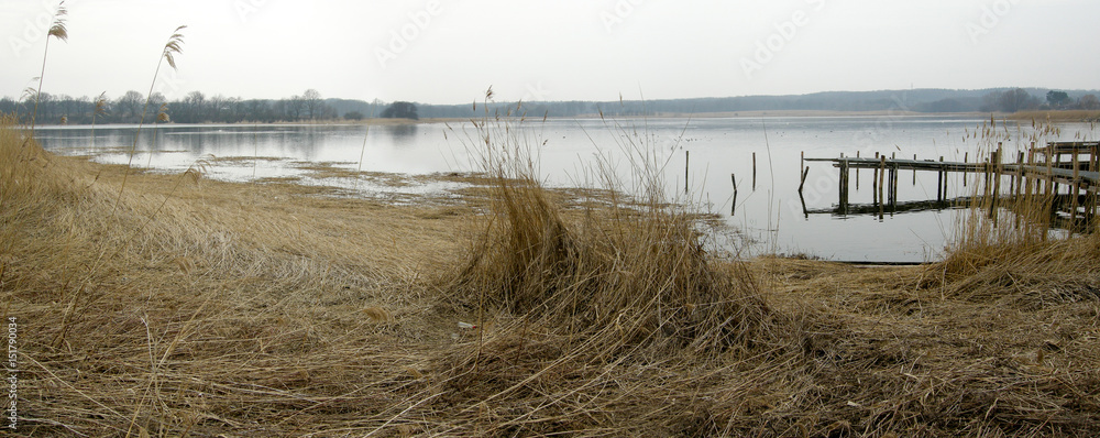 Fototapeta premium Winteridylle am Wreecher See, Putbus, auf der Insel Rügen