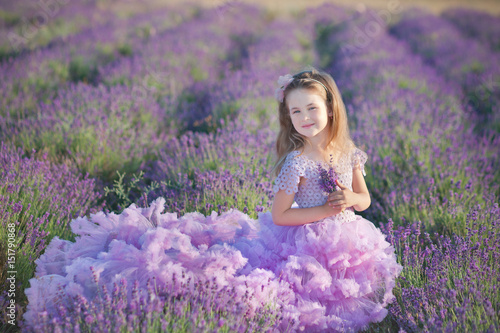 A girl in a beautiful lush purple dress in lavender field. Sweet girl in the lush lilac dress. Sweet girl in a lavender field