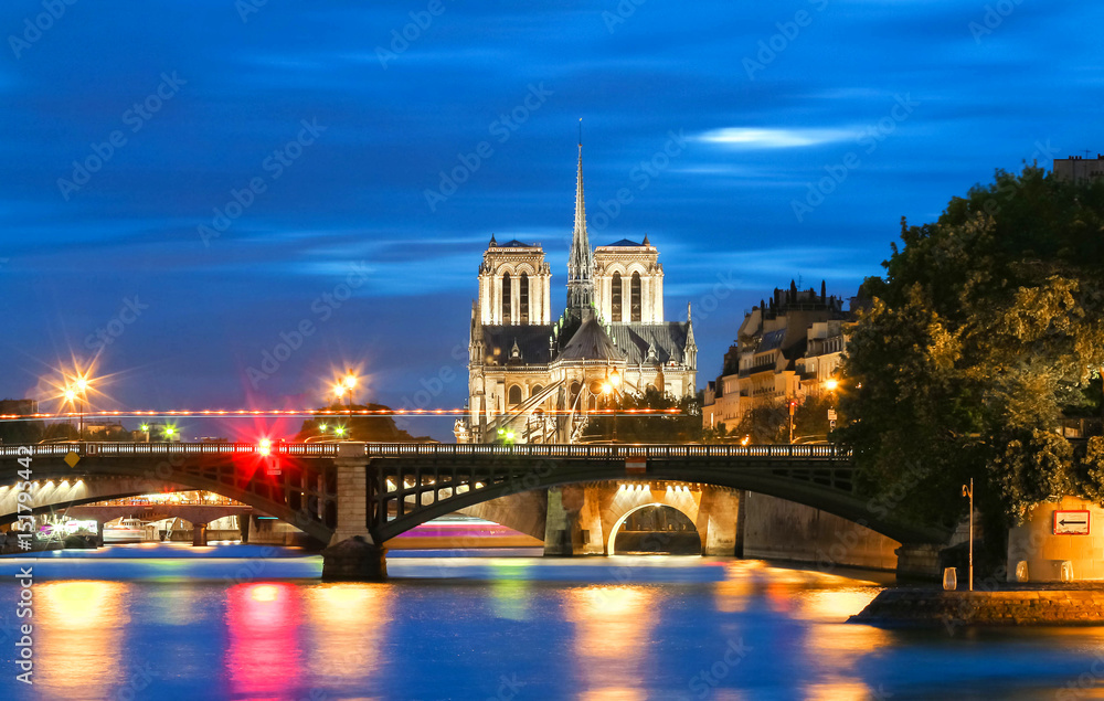 Fototapeta premium The Notre Dame cathedral at night, Paris, France.