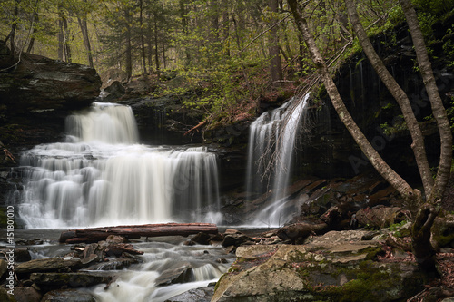 Ricketts Glen State Park  Benton  Pennsylvania  USA