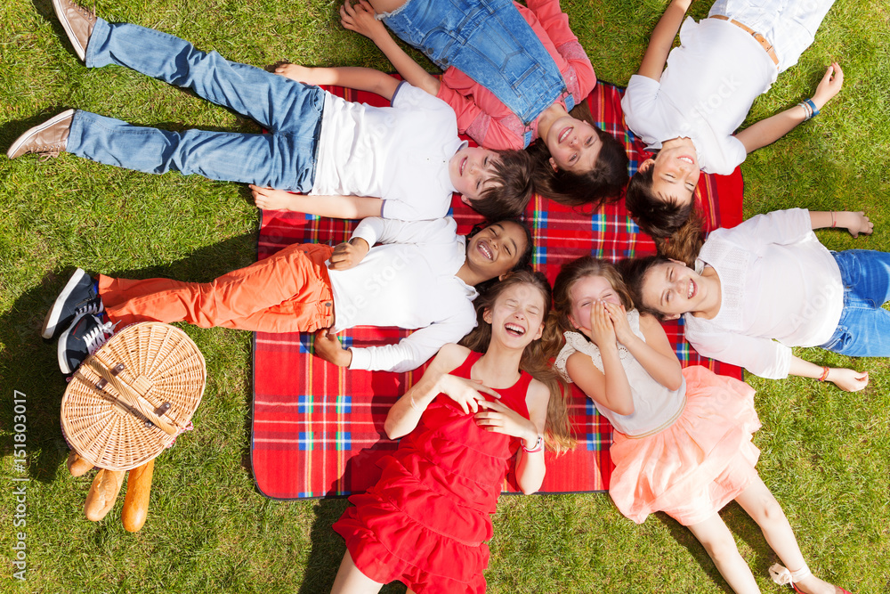 Fototapeta premium Cute kids laying in a circle on the picnic blanket