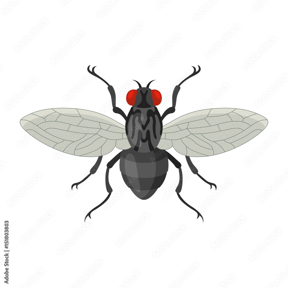 Fototapeta premium Home fly vector illustration in cartoon style