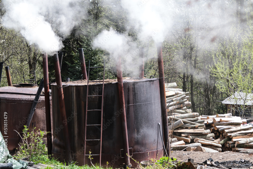 Fototapeta premium Bieszczady