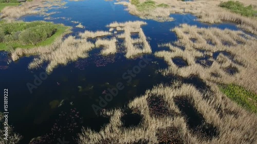 Enigmatic aerial shot of the Dnipro river basin with curvy  river bank, small islets, little lakes, a lot of algae, forest boscages, small inflows,  nice skyscape, in Ukraine in  a sunny day in spring photo