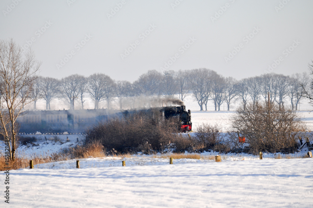 Fototapeta premium Rasender Roland in Posewald, Putbus auf Rügen