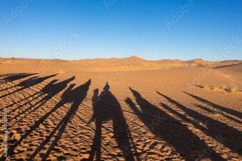 Camel caravan shadows in Sahara desert, Merzouga, Morocco