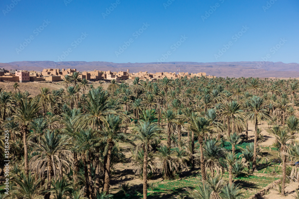 Big oasis with palm trees between Sahara desert and Atlas Mountains, Morocco Big oasis with palm trees between Sahara desert and Atlas Mountains, Morocco
