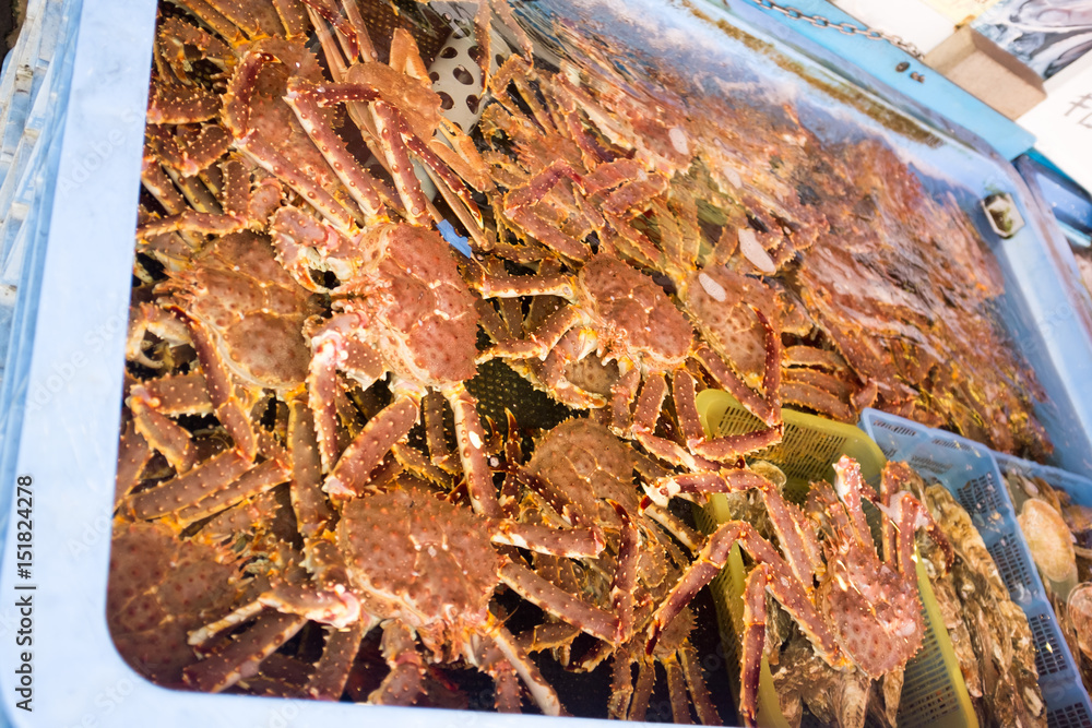 Crab in fish Tank ready for cooking