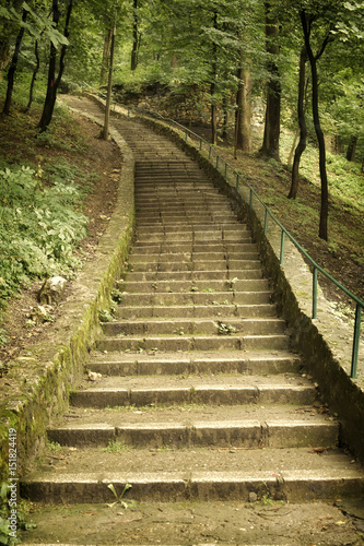 Stone stairs in the park