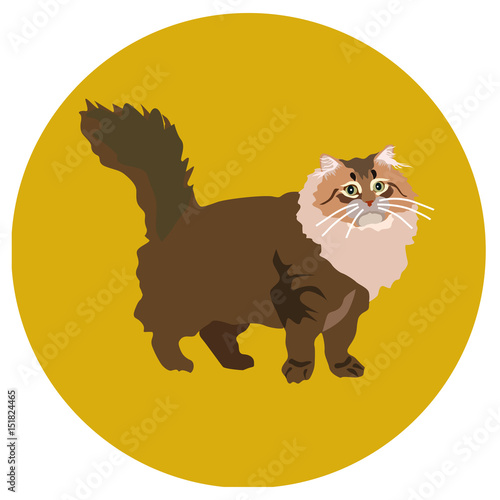 938273 Cats of different breeds. Icons. Vector image in a flat style. Illustration on a round background. Element of design, interface