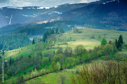 Great landscape of pine forest and green valley in the mountains